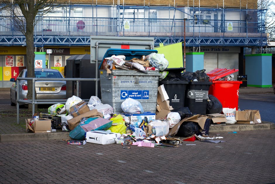 Abbey Wood local council rubbish rules what to know when booking