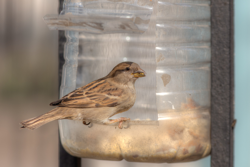 Rubbish removal rubbish collection